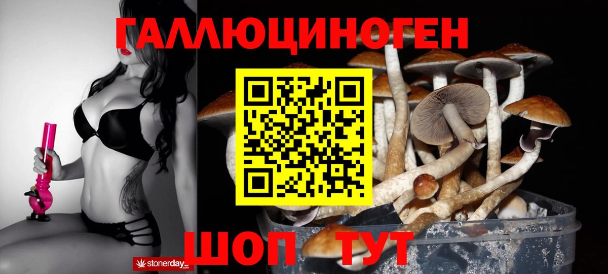 Галлюциногенные грибы Magic Shrooms  Вход с VPN  Фролово 